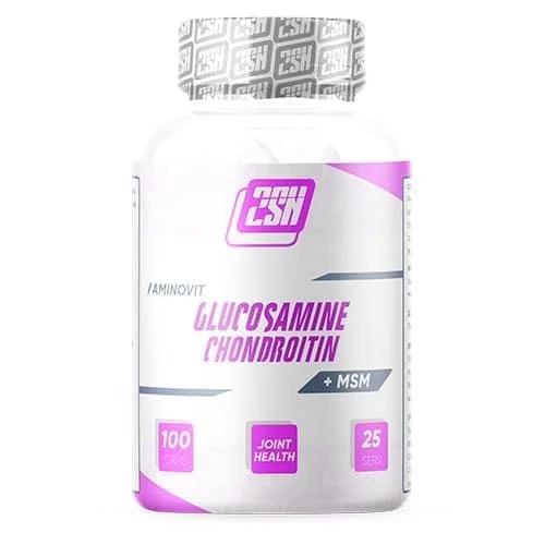 2SN Glucosamine + Chondroitin + MSM 600 mg 100 caps фото