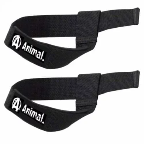 Universal Animal Lifting Straps фото